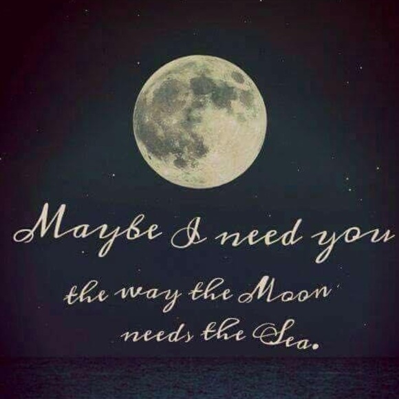 Meet your Posher,Aubree - Picture 9 of 12